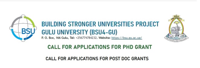 APPLY NOW: A Call for Applications for PhD and Postdoc Grants from BSU